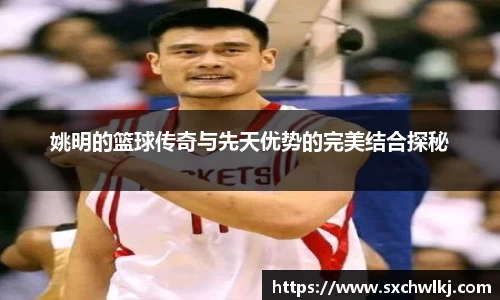 jn江南体育
